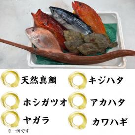 【鮮魚セット10,000円相当】5kg～7kg前後 冷蔵〈日本/鹿児島県〉骨まで愛して目利きの山実水産