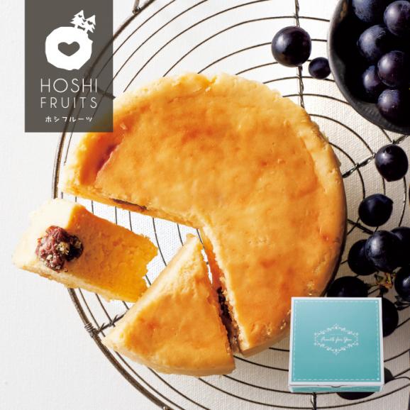 大人のチーズケーキ Hfoc 12 フルーツギフト カフェ ホシフルーツの通販 お取り寄せなら ぐるすぐり