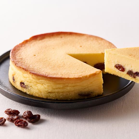 ホシフルーツ 大人のチーズケーキ フルーツギフト カフェ ホシフルーツの通販 お取り寄せなら ぐるすぐり