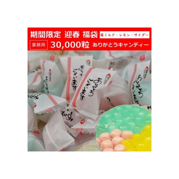 業務用30 000粒入りありがとうキャンディー 迎春 福袋 正月 イベント用 期間限定 京の飴工房 岩井製菓の通販 お取り寄せなら ぐるすぐり