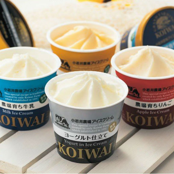 小岩井農場 自家製アイスクリーム 送料無料 １１０ｍｌ １０個 岩手県産株式会社 東京支店の通販 お取り寄せなら ぐるすぐり