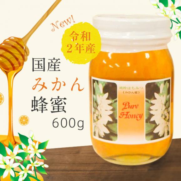 国産みかん蜂蜜 令和２年 和歌山産 600g 2本 花蜂園の通販 お取り寄せなら ぐるすぐり