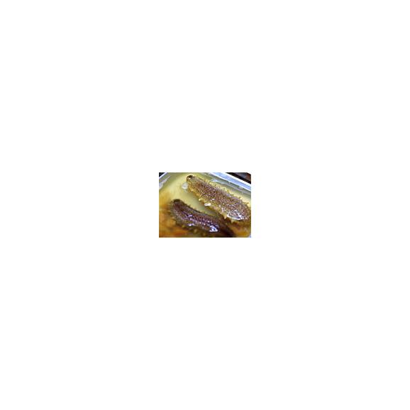 送料込 このわた 1個 ナマコの腸のねっとり塩辛 日本三大珍味 能登海の甘み 旨み 地域名産ギフト ご当地グルメ お中元 ご贈答に 金沢屋の通販 お取り寄せなら ぐるすぐり 送料込 このわた 1個 ナマコの腸のねっとり塩辛 日本三大珍味 能登海の甘み 旨み 地域名産ギフト ご当地グルメ お中元 ご贈答に 金沢屋の通販 お取り寄せなら ぐるすぐり