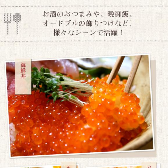 【鮭/魚卵/いくら】いくら醤油 1kg(500g×2) 冷凍 〈北海道〉 京都食彩市場05