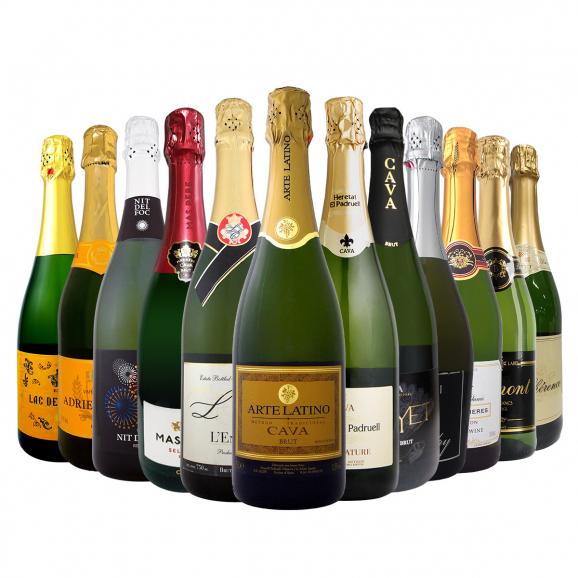 スパークリング sparkling ワイン wine セット set 第42弾 選び抜いたハイクオリティ泡ばかり12本 辛口スパークリング