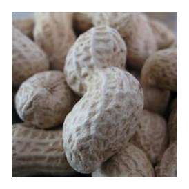 宮野ピーナッツのいりざや