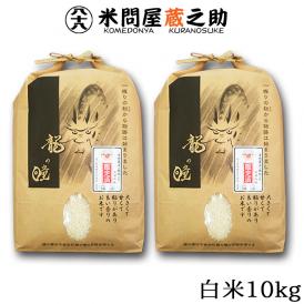 【日本一大きな米粒】いまや全国的に知られることとなった『龍の瞳』。とにかく米粒がデカイ！
