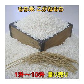 もち米 1升単位 量り売り 10升まで 令和2年産 岩手県南 ひめのもち 米屋ふくち 食彩王国の通販 お取り寄せなら ぐるすぐり