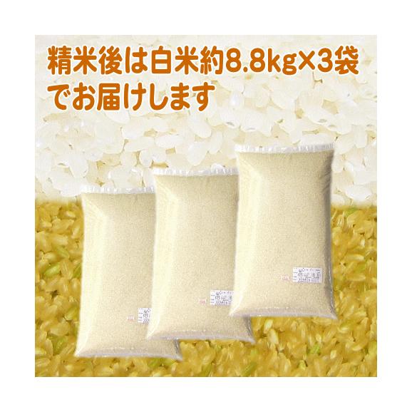 【新米】南魚沼産コシヒカリ(玄米)令和4年産 30kg【送料無料(本州のみ)】
