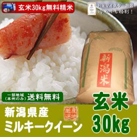 【精米無料】新潟県産ミルキークイーン（令和3年産）玄米30kg【送料無料（本州のみ）】