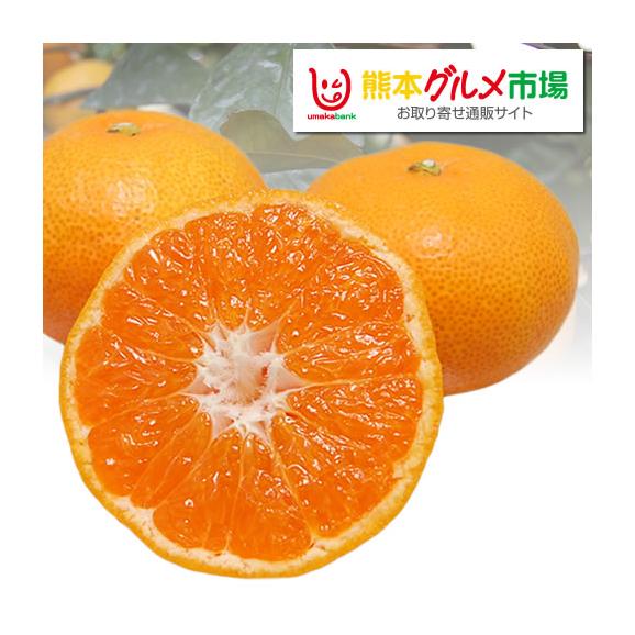 ミカン b-632_001.jpg?fitin=720:720