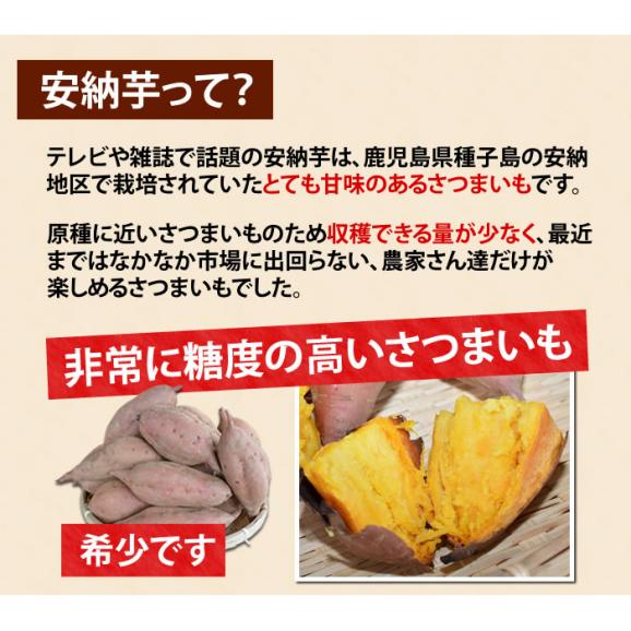 安納芋 送料無料 種子島産 生芋 2箱購入で1kg増量 まるでスイーツ さつまいも 別途東北0円 北海道400円 沖縄離島1000円 熊本グルメ市場の通販 お取り寄せなら ぐるすぐり