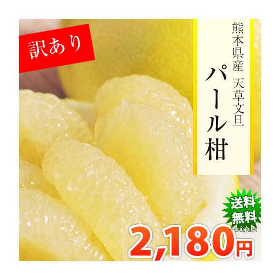 パール柑 訳あり 5kg 送料無料 2箱購入でおまけ増量 熊本県産ご自宅用 文旦 熊本グルメ市場の通販 お取り寄せなら ぐるすぐり