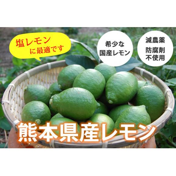 希少な国産レモン！ 熊本県三角産レモン 5kg03