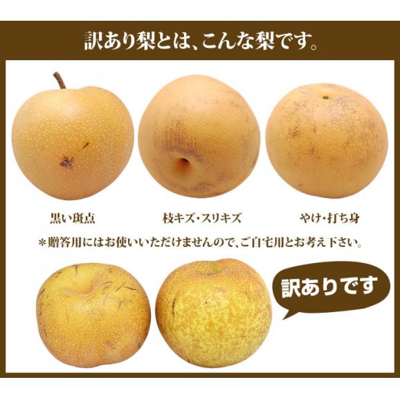 訳あり梨 箱込約5kg 内容量4kg 不良果補償分500g 送料無料 熊本県産 豊水 幸水 秋月 新高 別途追加送料東北0円 北海道400円 沖縄離島1000円 熊本グルメ市場の通販 お取り寄せなら ぐるすぐり 訳あり梨 箱込約5kg 内容量4kg 不良果補償分500g 送料無料 熊本県産 豊水 幸水 秋月 新高 別途追加送料東北0円 北海道400円 沖縄離島1000円 熊本グルメ市場の通販 お取り寄せなら ぐるすぐり