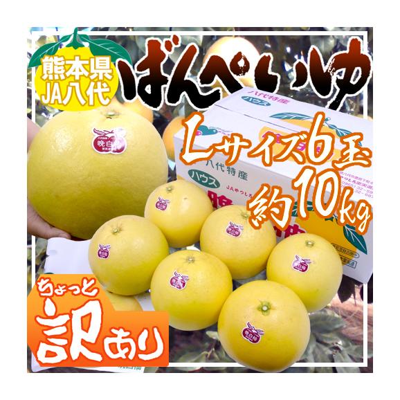 送料無料 熊本県八代特産 晩白柚 ばんぺいゆ ちょっと訳あり Lサイズ 6玉 約10kg 1玉重量約1 6kg前後 無印 予約 12月以降 くらし快援隊の通販 お取り寄せなら ぐるすぐり