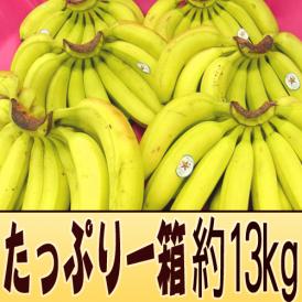 フィリピン産 ”バナナ” 5～6房入り 約13kg