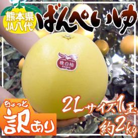 熊本県八代特産 ”晩白柚” ばんぺいゆ ちょっと訳あり 大玉2Lサイズ 約2kg【予約 12月以降】