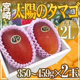 すぐ発送！宮崎完熟マンゴー ”太陽のタマゴ” 大玉 2Lサイズ 2玉 宮崎マンゴー