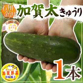 ブランド野菜の商品一覧 通販 お取り寄せ 販売 ぐるすぐり