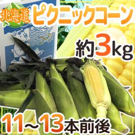 北海道産 ”ピクニックコーン” 11～13本前後 約3kg 極甘とうもろこし【予約 8月中下旬以降】 送料無料