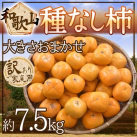 種がないから食べやすい♪一流ブランド・和歌山産の種無し柿！