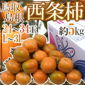 島根・鳥取産 ”西条柿” 秀品 L～3L 約5kg【予約 10月下旬以降】 送料無料