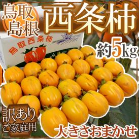 島根・鳥取産 ”西条柿” 訳あり 約5kg 大きさおまかせ【予約 10月下旬以降】 送料無料