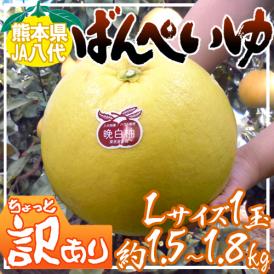 熊本県八代特産 ”晩白柚” ばんぺいゆ ちょっと訳あり Lサイズ 1玉 約1.6kg前後【予約 12月以降】