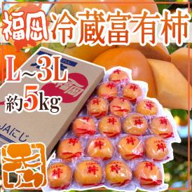 福岡産 ”富有柿” 秀品 L～3L 約5kg【予約 12月以降】 送料無料