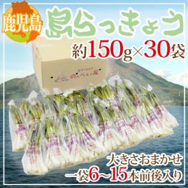 らっきょうの商品一覧 通販 お取り寄せ 販売 ぐるすぐり
