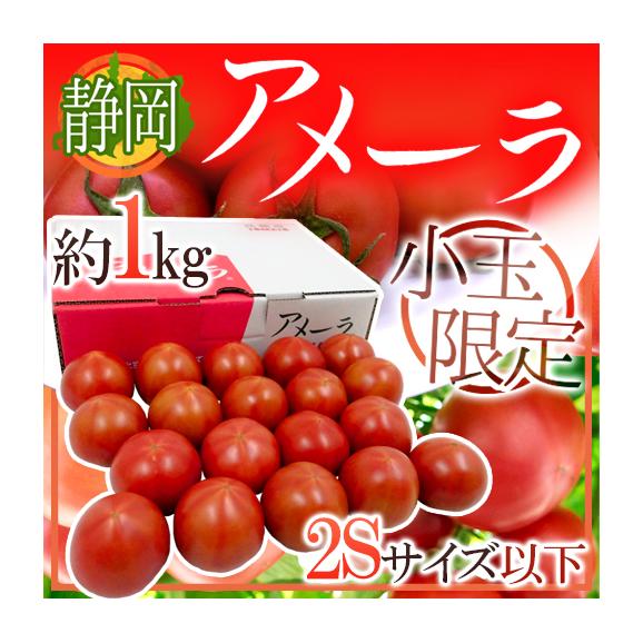 4ケース　アメーラトマト　自信あります！　高糖度　フルーツトマト　品質鮮度抜群！生鮮品につき値引は出来ません