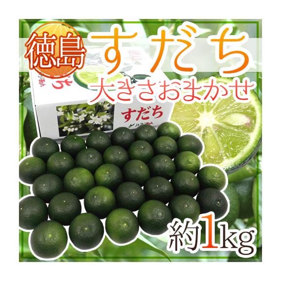 送料無料 徳島産 すだち 秀品 約1kg 化粧箱 大きさおまかせ くらし快援隊の通販 お取り寄せなら ぐるすぐり