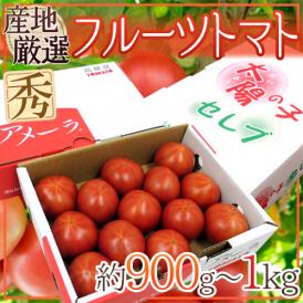 ”フルーツトマト” 約900g～1kg 3箱購入で送料無料！アメーラ・ブリックスナイン・太陽の子セレブのいずれかでお届け【予約 入荷次第発送】