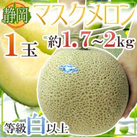 静岡県 ”マスクメロン” 等級白以上 大玉1玉 約1.7～2kg《2玉購入で送料無料》【予約 6月以降】