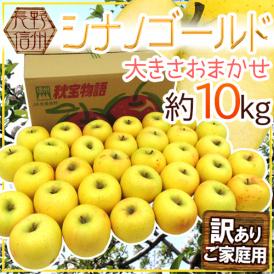 長野県 ”シナノゴールド” 訳あり 約10kg 大きさおまかせ りんご【予約 11月以降】 送料無料