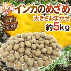 北海道 ”インカのめざめ” 訳あり 約5kg 大きさおまかせ ジャガイモ【予約 9月末以降】 送料無料