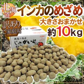 北海道 ”インカのめざめ” 訳あり 約10kg 大きさおまかせ ジャガイモ【予約 9月末以降】 送料無料