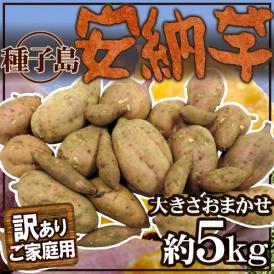 種子島産 ”安納芋” 訳あり 約5kg 大きさおまかせ【予約 10月下旬以降】 送料無料