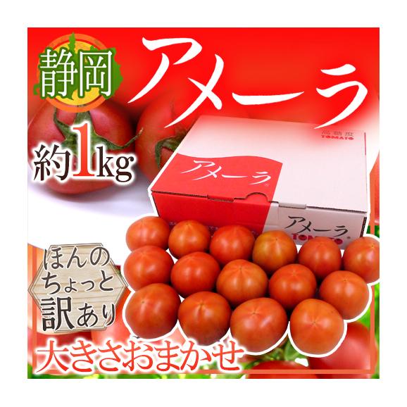 静岡県 高糖度フルーツトマト アメーラ 大きさおまかせ 約1kg ほんのちょっと訳あり 化粧箱入り 予約 入荷次第発送 くらし快援隊の通販 お取り寄せなら ぐるすぐり