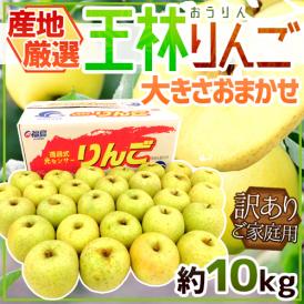 ”王林りんご” 訳あり 約10kg 大きさおまかせ 産地厳選【予約 10月下旬以降】 送料無料