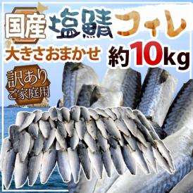 国産 ”塩鯖フィレ” 訳あり 約10kg 大きさおまかせ 三枚おろし サバ 送料無料