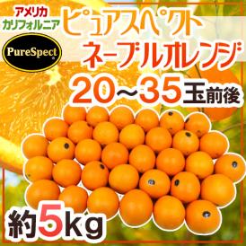 カリフォルニア産 プレミアムオレンジ ”ピュアスペクトネーブルオレンジ” 20～35玉前後 約5kg【予約 12月末以降】 送料無料