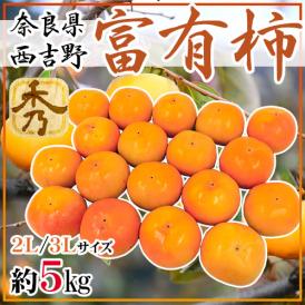 奈良県西吉野産 ”富有柿” 秀品 2L～3L 約5kg【予約 11月以降】 送料無料