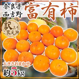 奈良県西吉野産 ”富有柿” 訳あり 大きさおまかせ 約5kg【予約 11月以降】 送料無料