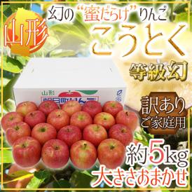 山形産 蜜だらけりんご ”こうとく（高徳）りんご” 等級幻 訳あり 約5kg 大きさおまかせ【予約 11月以降】 送料無料