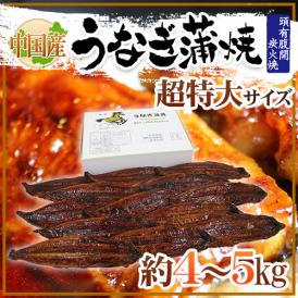 ”うなぎ蒲焼” 約4～5kg 中国産 ウナギ/鰻/有頭腹開 送料無料