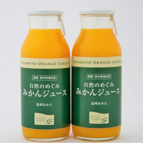 自然のめぐみ みかんジュース 小瓶180ml 12本 株式会社 ミヤモトオレンジガーデンの通販 お取り寄せなら ぐるすぐり