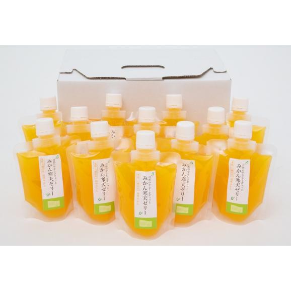 愛媛産 みかん寒天ゼリー 170g 12本 株式会社 ミヤモトオレンジガーデンの通販 お取り寄せなら ぐるすぐり