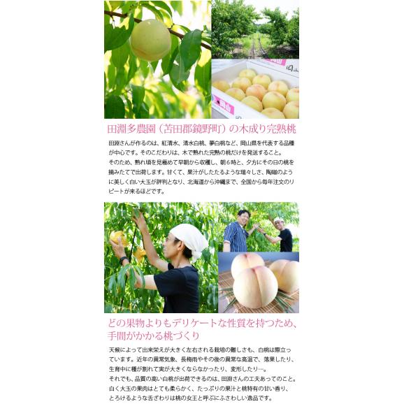 岡山県産清水白桃100％ 果実たっぷりとろけるような濃質食感 清水白桃ジュレ6個入04